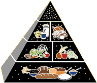 Food Guide Pyramid For Diabetics